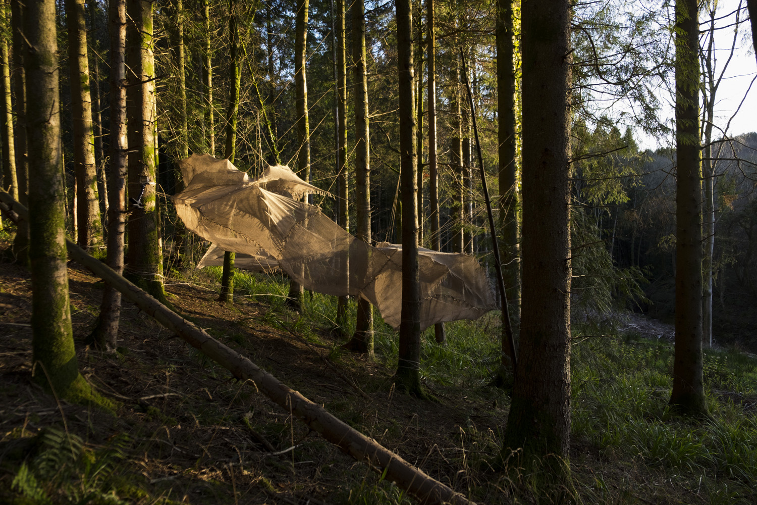 Shroud — jute installation at Hooke Park